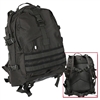 Back Pack